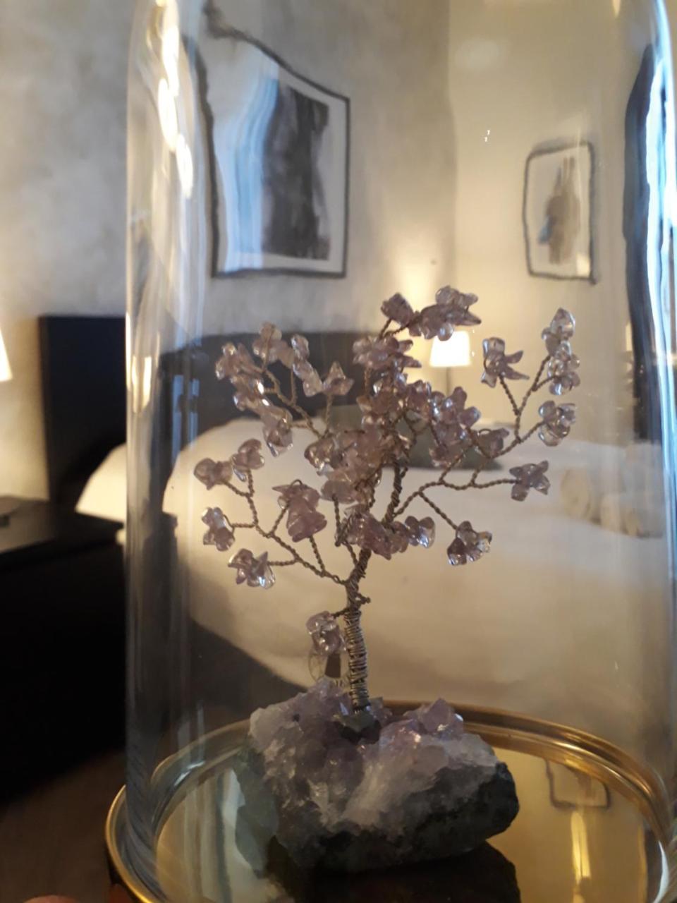 קטאניה Etnea Street Apartment מראה חיצוני תמונה